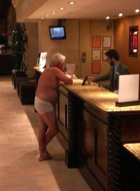 2 Or 3 Lines And So Much More Pitbull Hotel Room