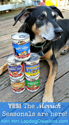 excited dog with Merrick food