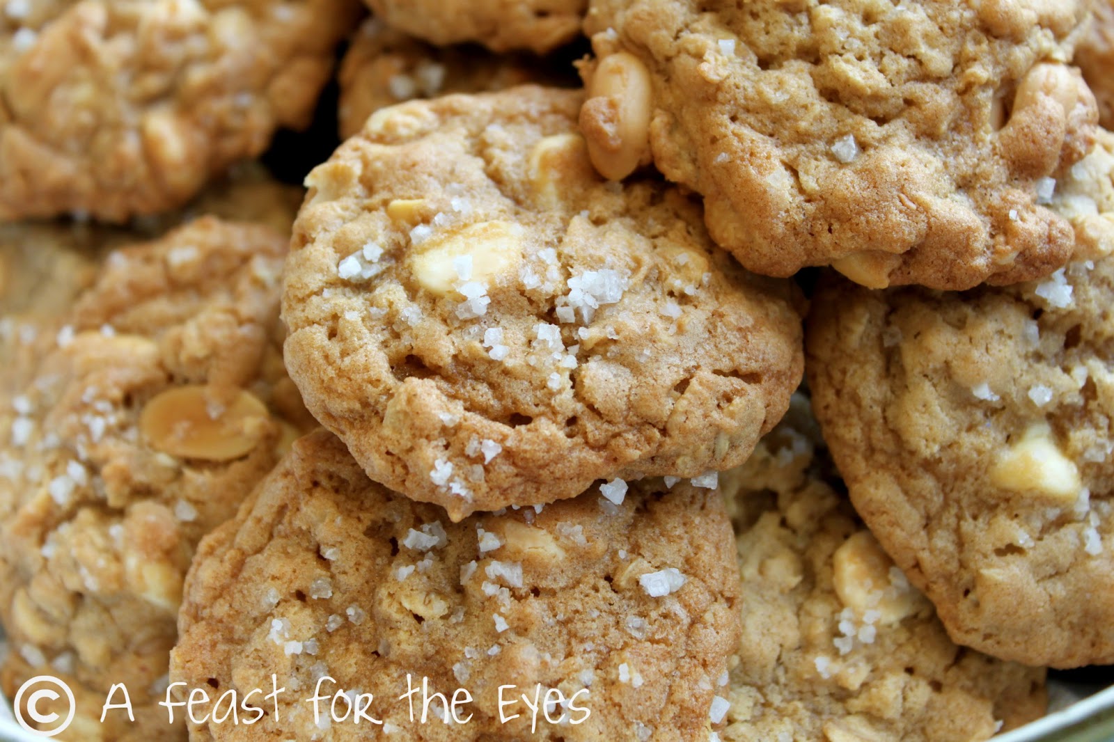 Vanilla Salted Peanut Cookies - A Feast For The Eyes