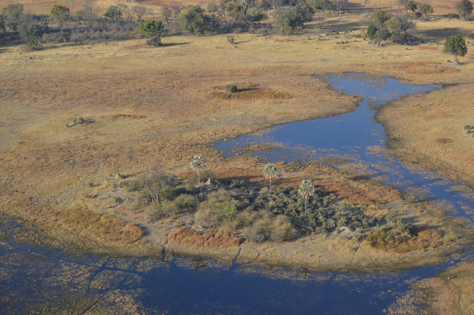Día 3: De Ghanzi a Maun y Sobrevuelo por el Delta del Okavango - Botswana y Cataratas Victoria. Viaje por libre de 19 dias (4)