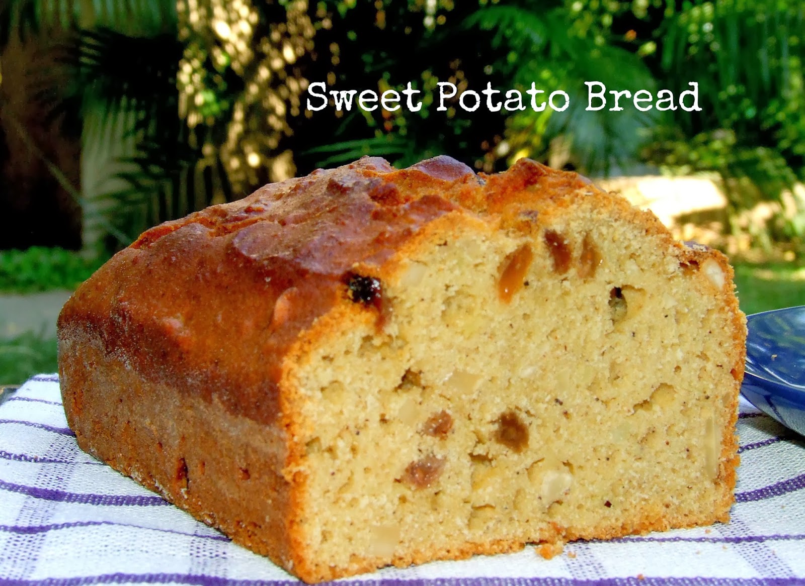 Whole Wheat Sweet Potato Bread Ambrosia