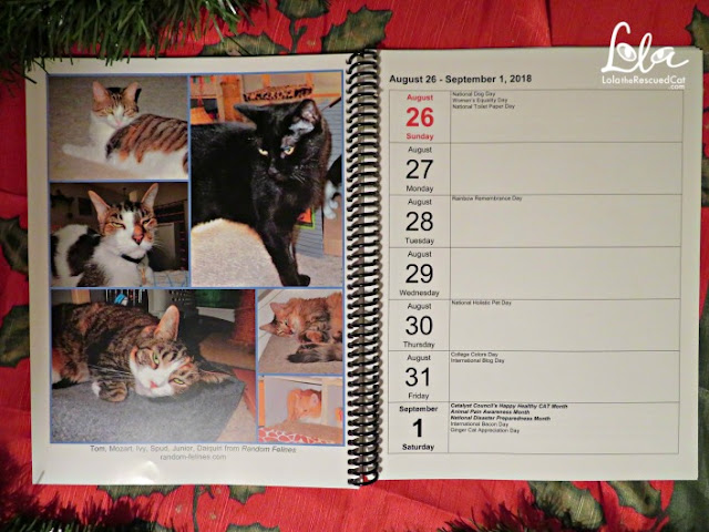 blogging cats weekly planner|lulu.com