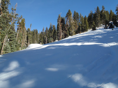 Pear Lake Ski Backpack Snowshoe Sequoia National Park