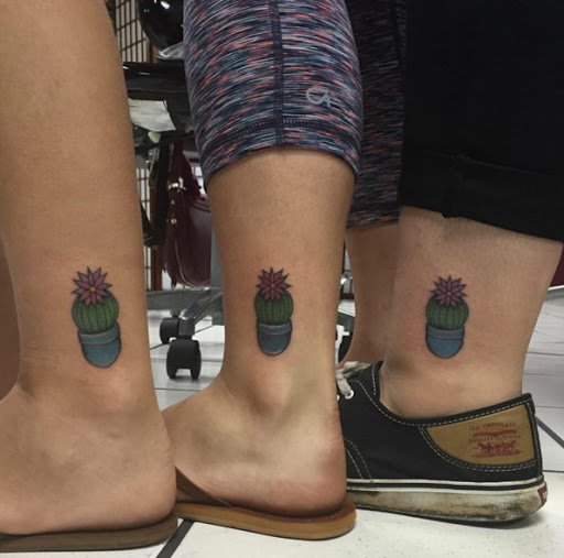 Correspondência de cactos