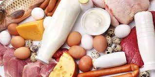 hayvansal proteinler
