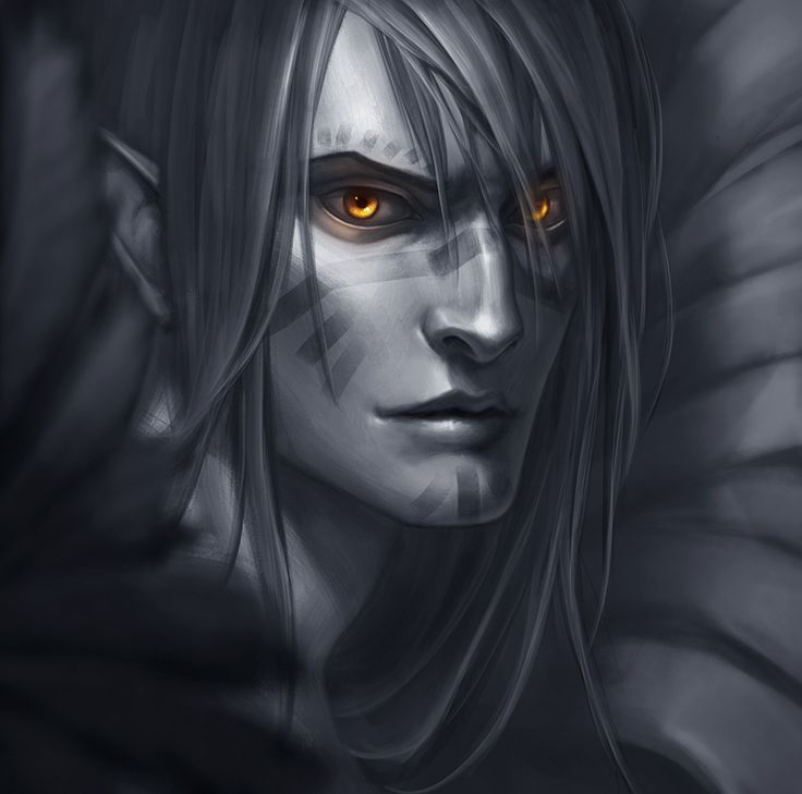 EL MUNDO DE ABRAHEL Elfos de la oscuridad o nocturnos