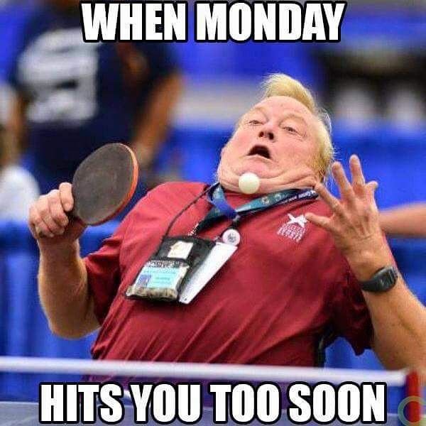 Funny Monday Memes 36