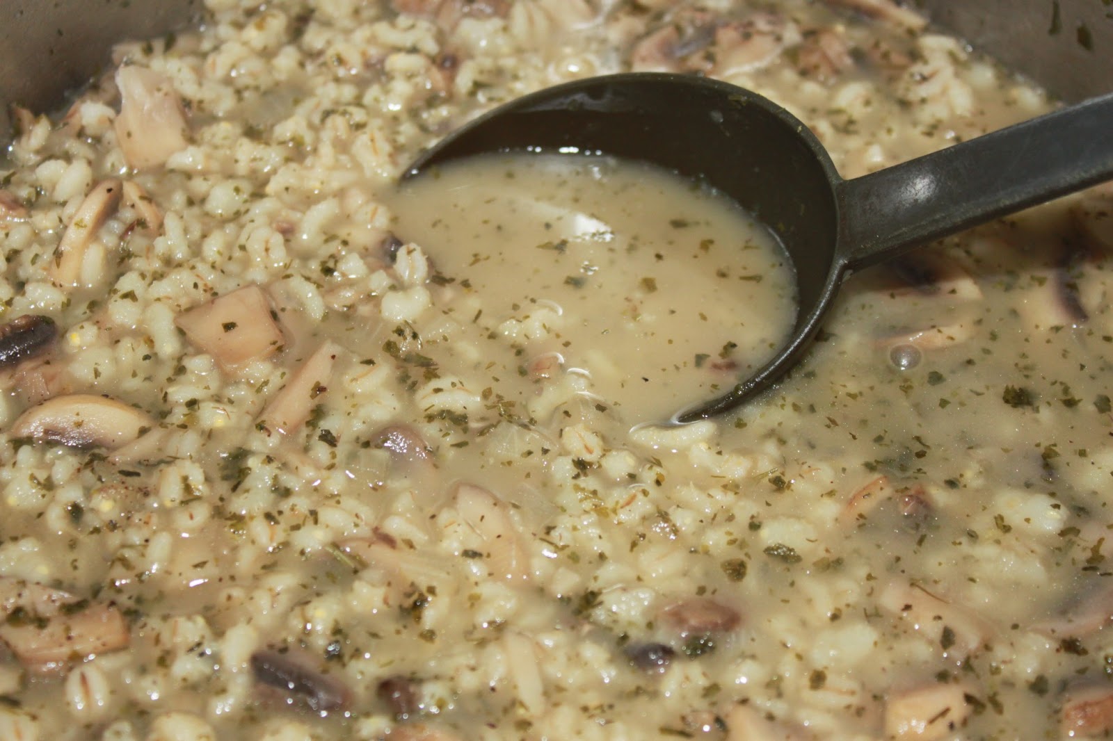 Recipes Plus More: Mushroom Barley Soup