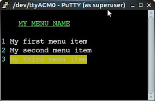 VT100 Example in PuTTY (Ubuntu Mate)