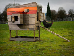 chicken plans coop five guy modern