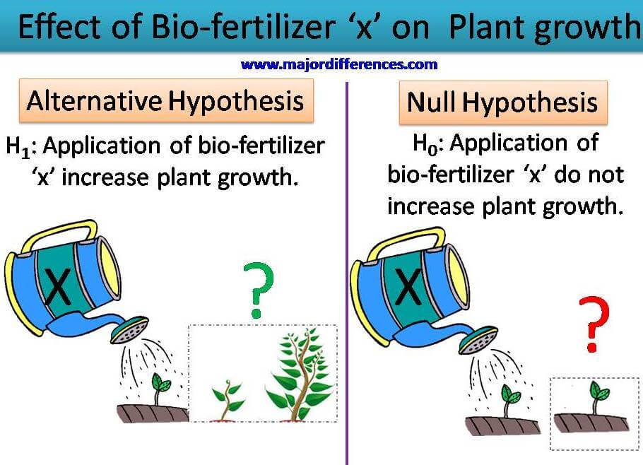 Difference Between Null And Alternative Hypothesis | Melody Wright
