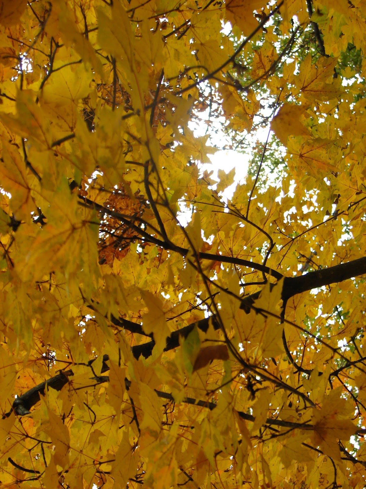 Be Present Be Real Pool Room Slaw