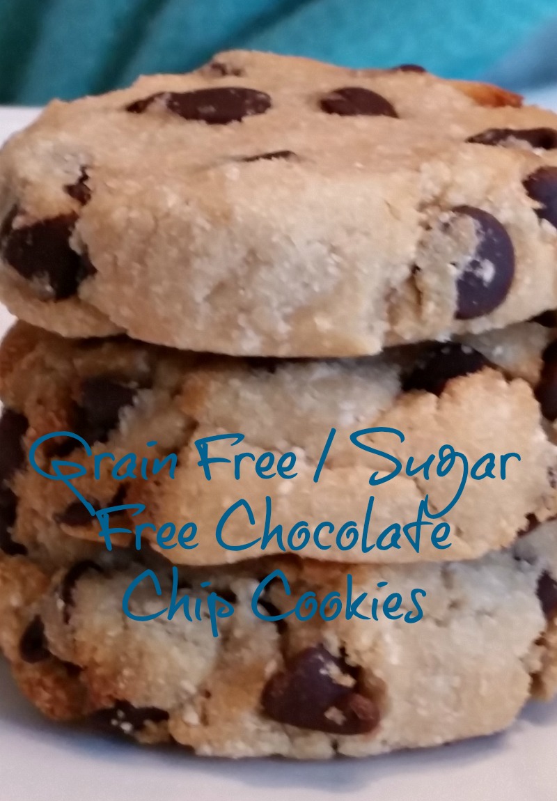 Adorned From Above Low Carb Chocolate Chip Cookies
