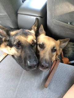 Tank and Yulie enjoying an Uber ride
