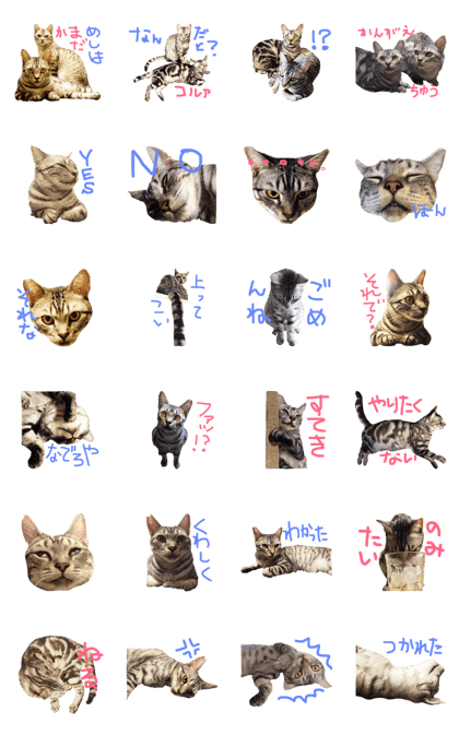 Line クリエイターズスタンプ 悪人顔な兄妹猫のトリコとハイジ