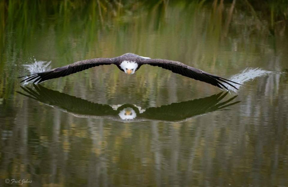 Increible: 14 Fotografías impactantes que no necesitaron de Photoshop