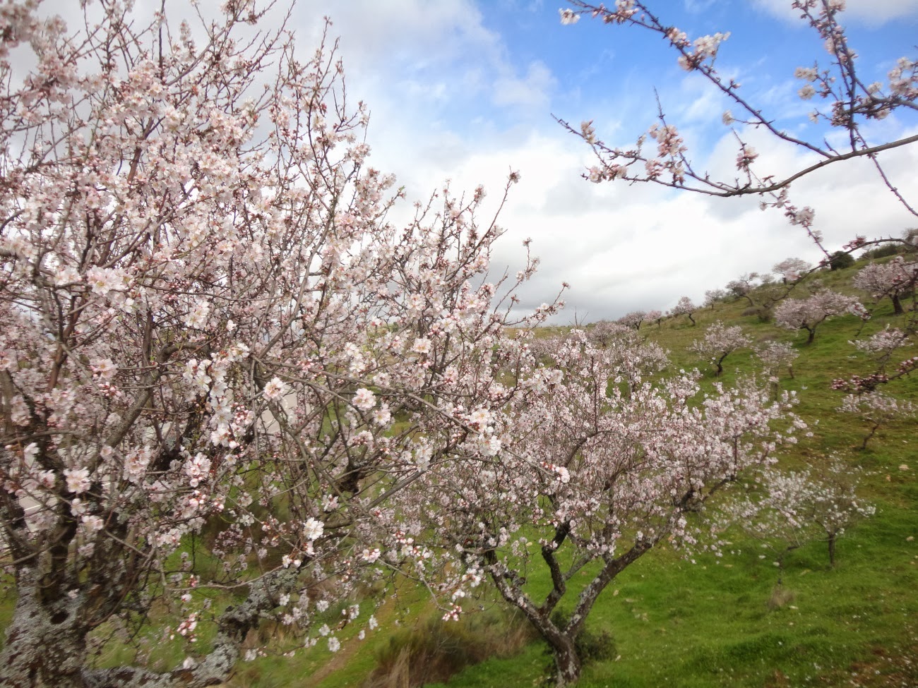 Carlos e histórias EM ALFÂNDEGA DA FÉ, NO REINO ENCANTADO DAS