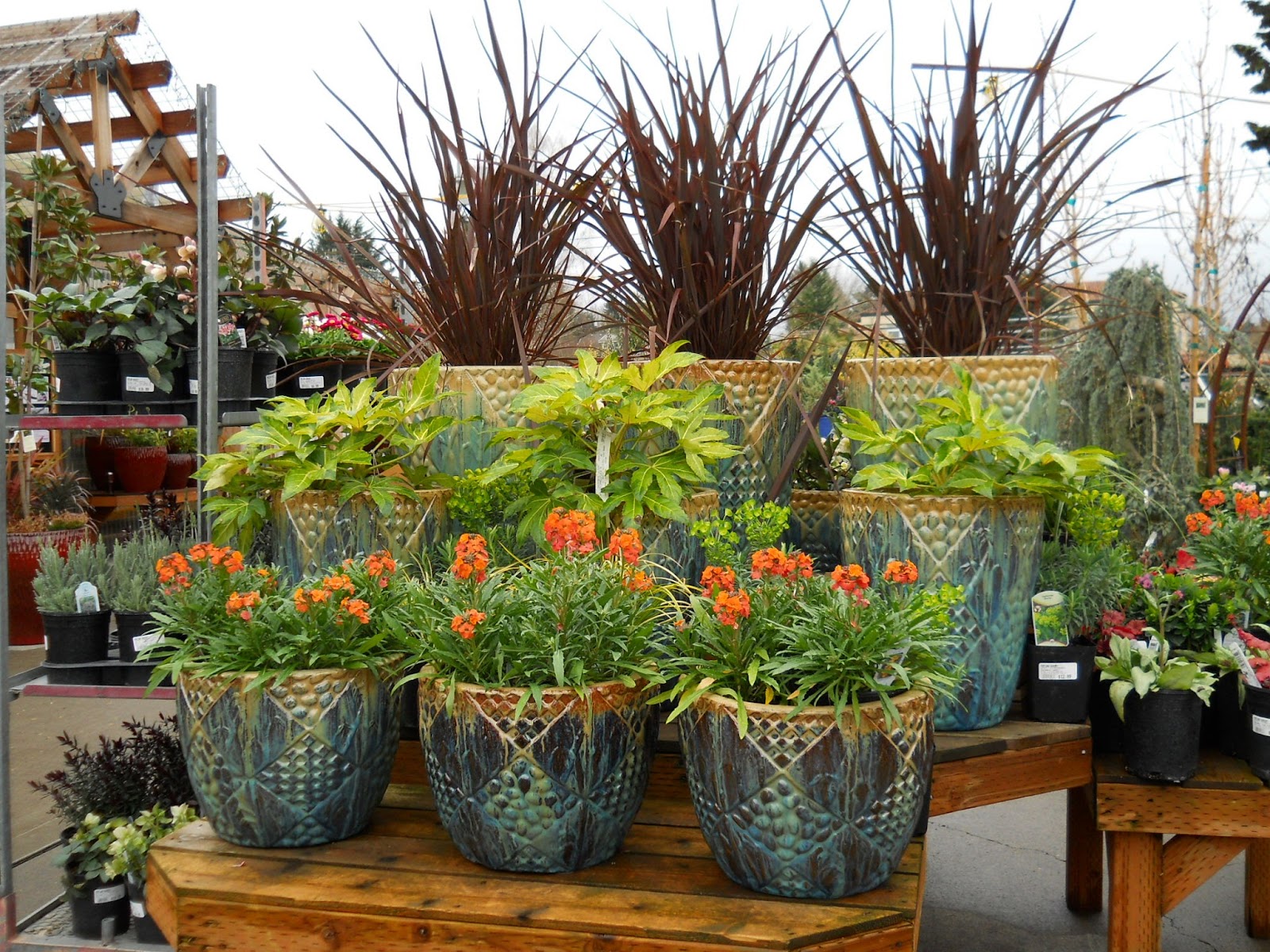 Spit & Vinegar Today at Portland Nursery