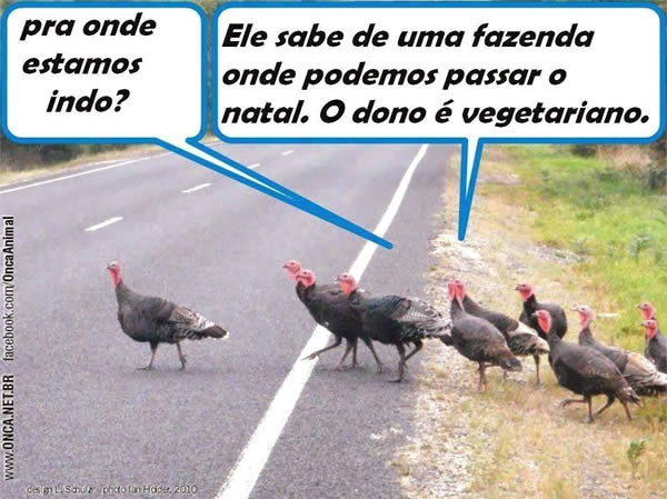 frases engraçadas para facebook natal galinhas