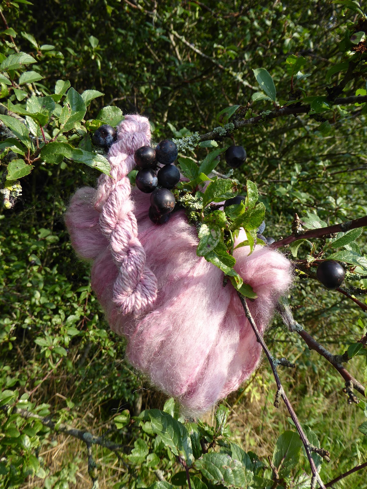 Wool Tribulations of Hand Spinning and Herbal Dyeing Berry Dyes