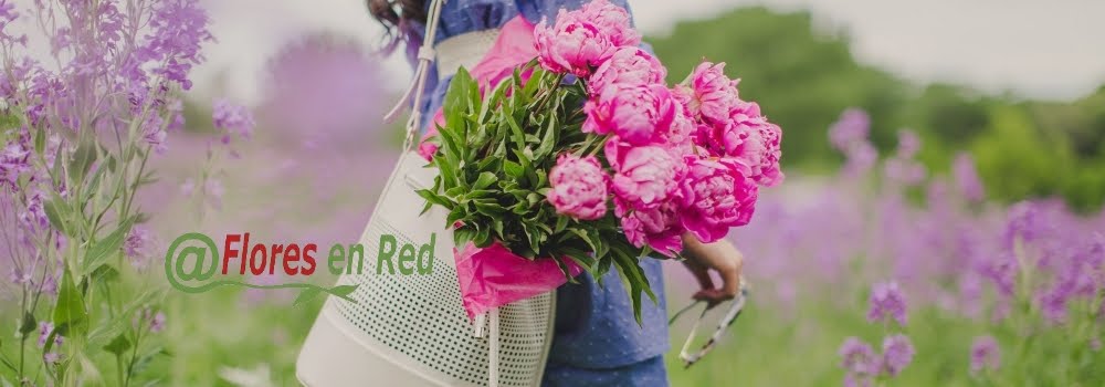 Flores en Red