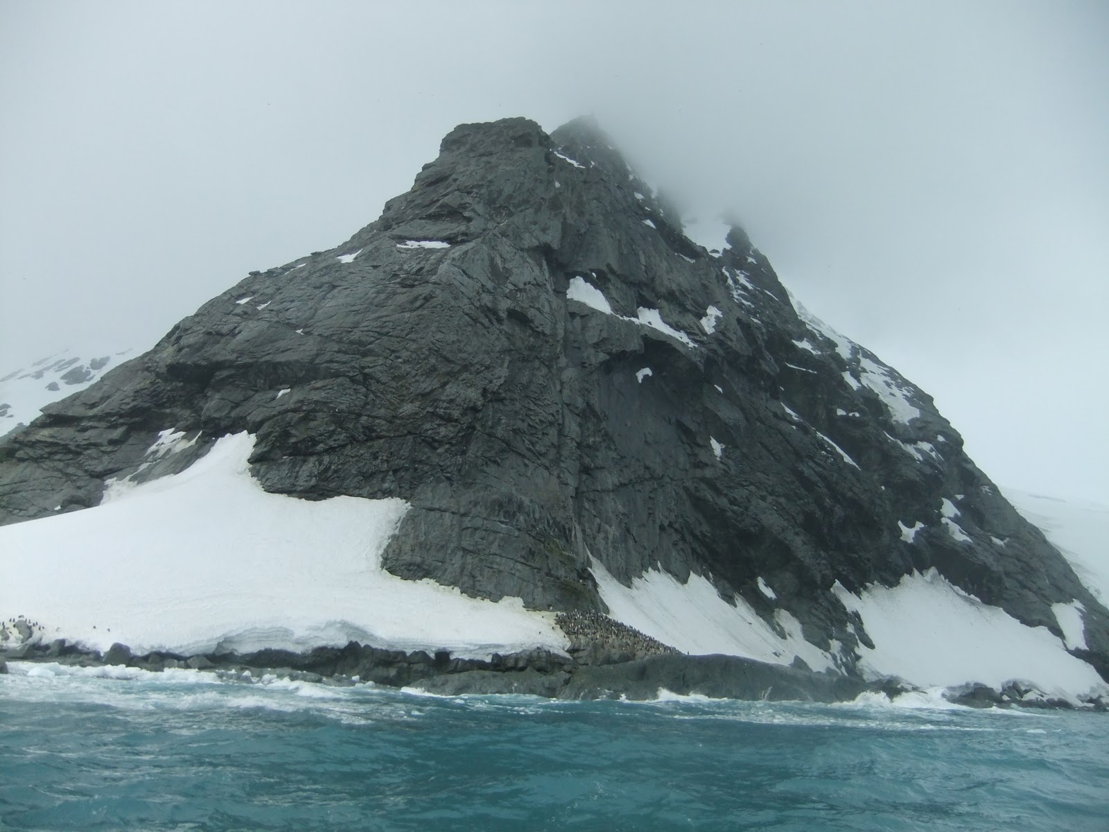 Point Wild Elephant Island, Antarctica Don't Stop Living