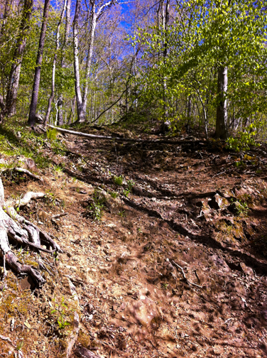 Erosion at Bluff Head - Mattabesett Trail