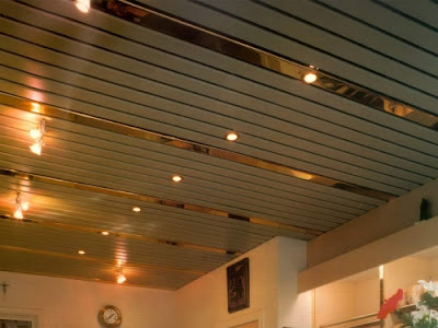 The best types of ceiling coverings for your interior 2019,Suspended (rack) ceiling covering