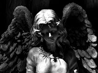 Angel Wings Wallpaper Hd Angel Wings Wallpaper Hd