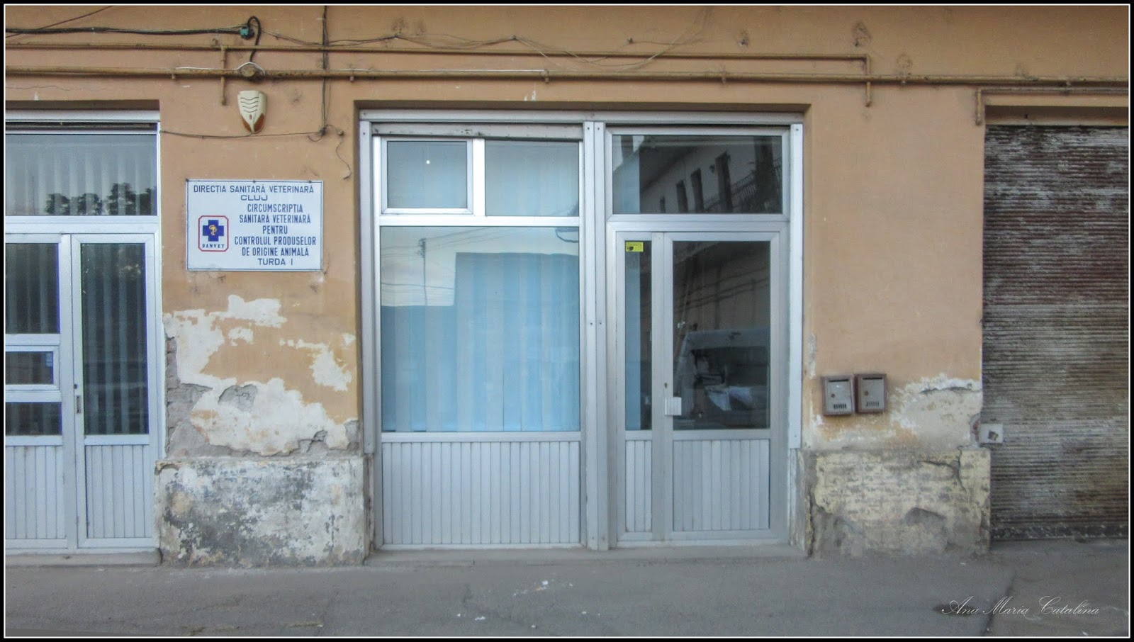 Lumea văzută din Turda Turda Piata Centrala Agroalimentara