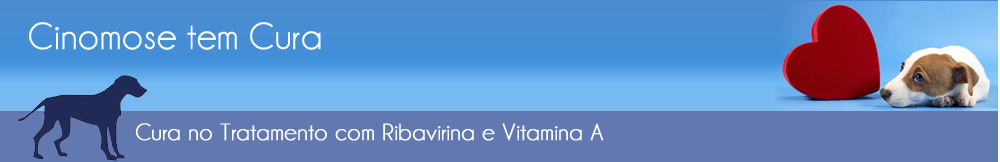 Cinomose  Cura no Tratamento com Ribavirina e Vitamina A