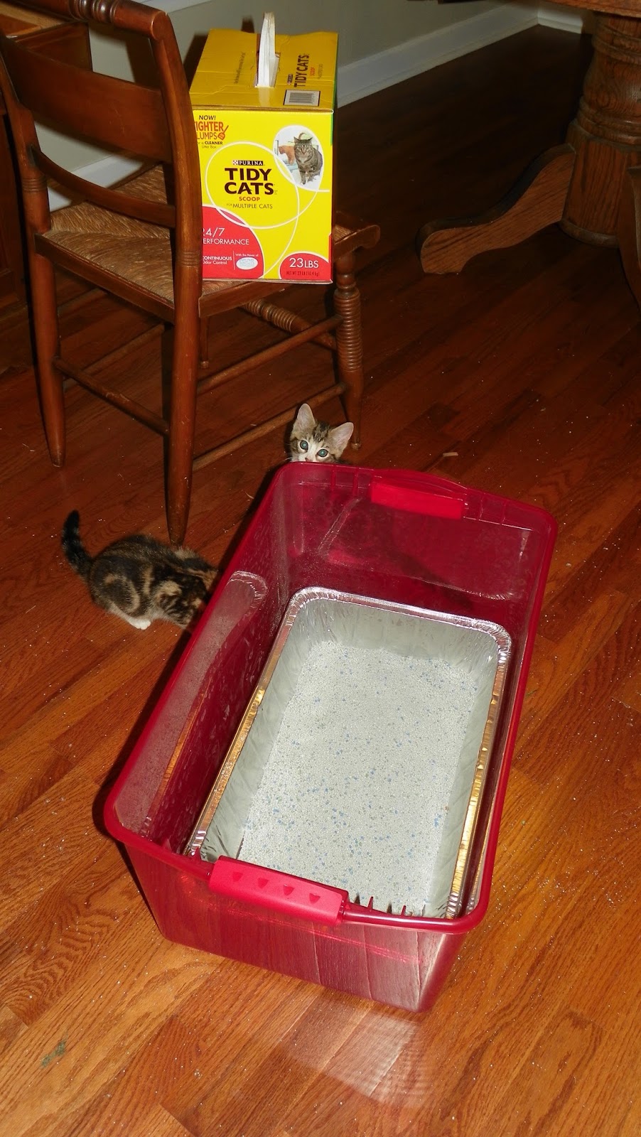 Diy Sifter Litter Box Two Broke Bruces DIY Litter Box / Swifter