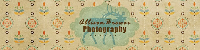 Allison Brewer Photography