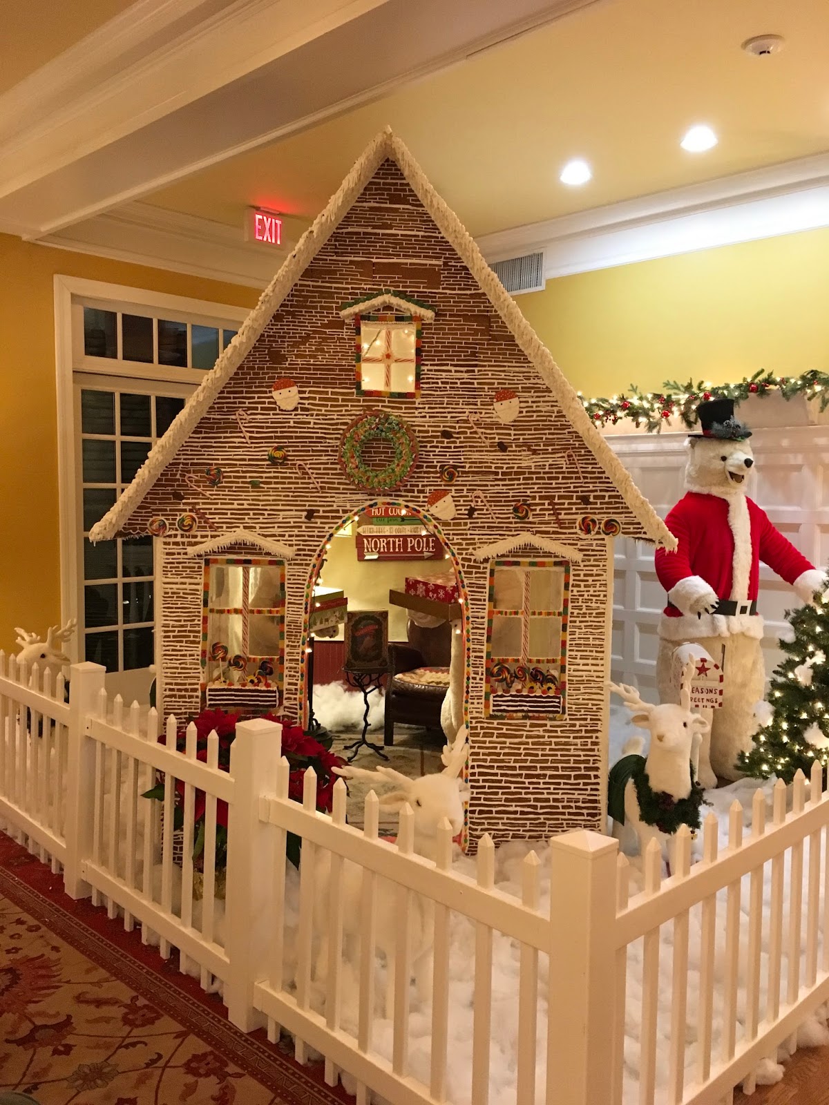 Tangled Roots and Trees Christmas Eve at The Sagamore