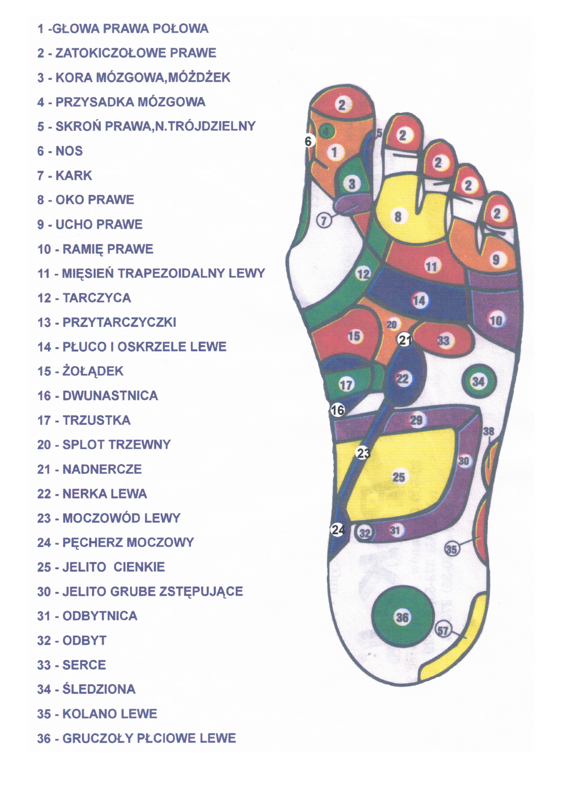 EZOTERYKA - Bogusław Leszczyński: STOPY