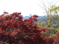 野崎観音・慈眼寺（じげんじ）の紅葉