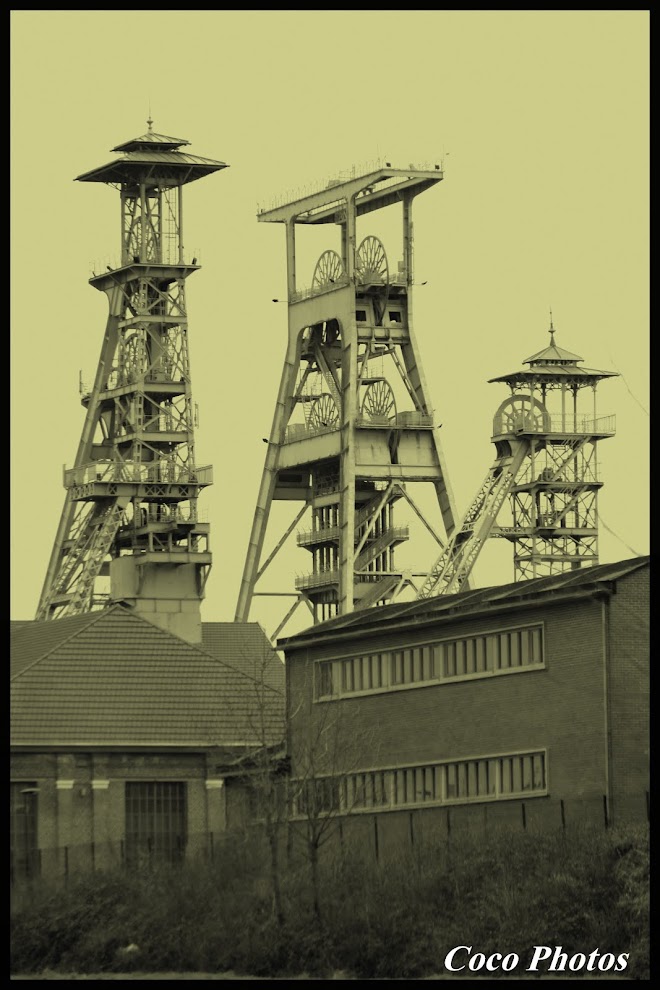 Parc de Péruwelz (Belgique Hainaut)