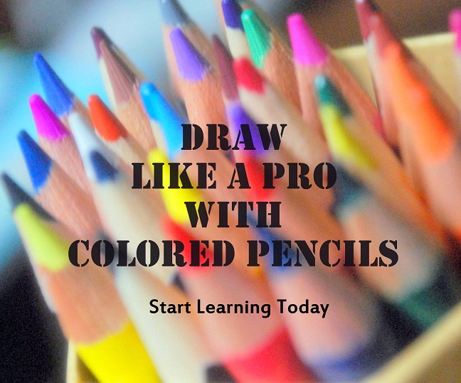 Colored Pencil Course Comprehensive Learning Experience
