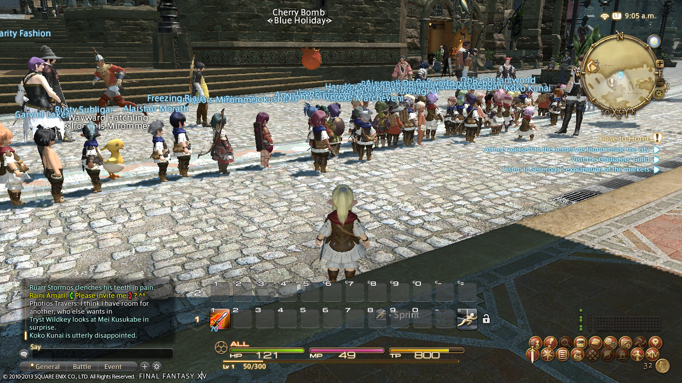 A Tank and a Healer. FFXIV phase 2 beta