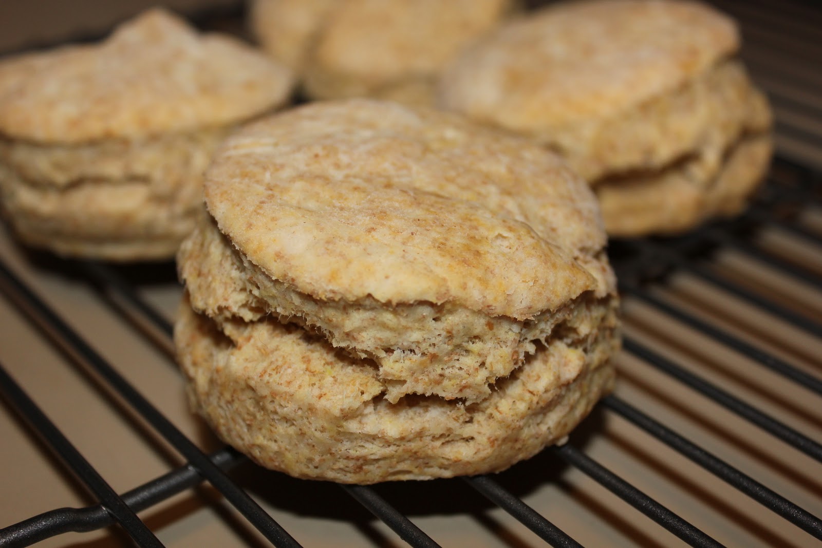 Cookie Therapy Whole Wheat Biscuits (Vegan)