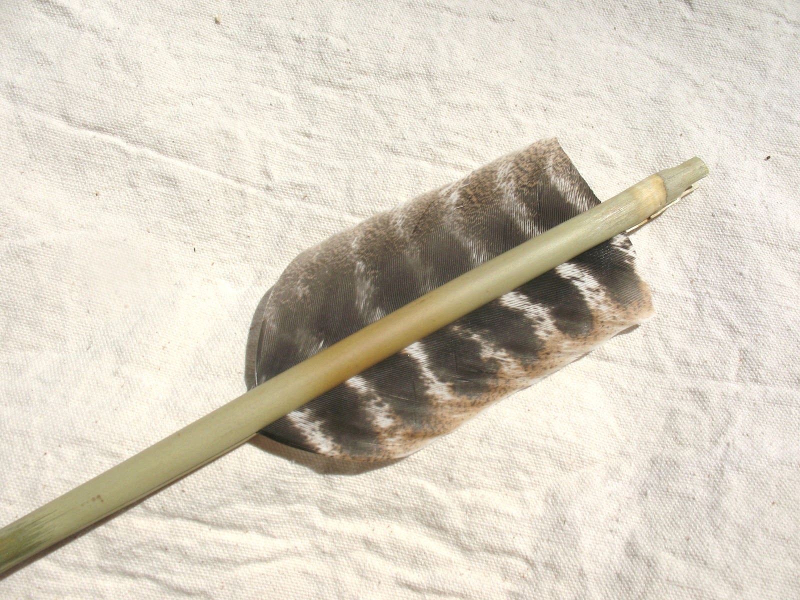 Sensible Survival: Make a Cane Arrow with Split-Shaft Fletched