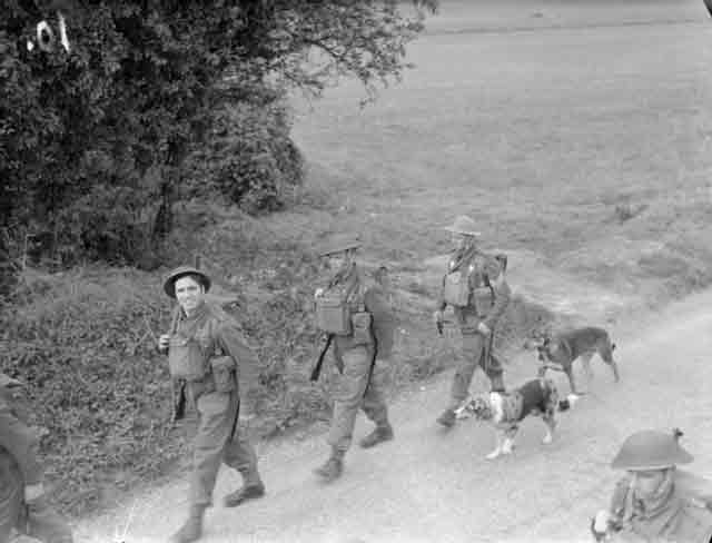 Infantry of the Queen's Royal Regiment 13 October 1941 worldwartwo.filminspector.com