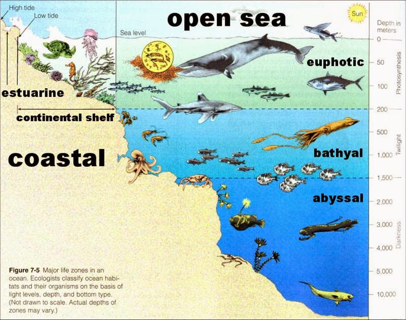 ACDS Earth Science Ocean Life Zones