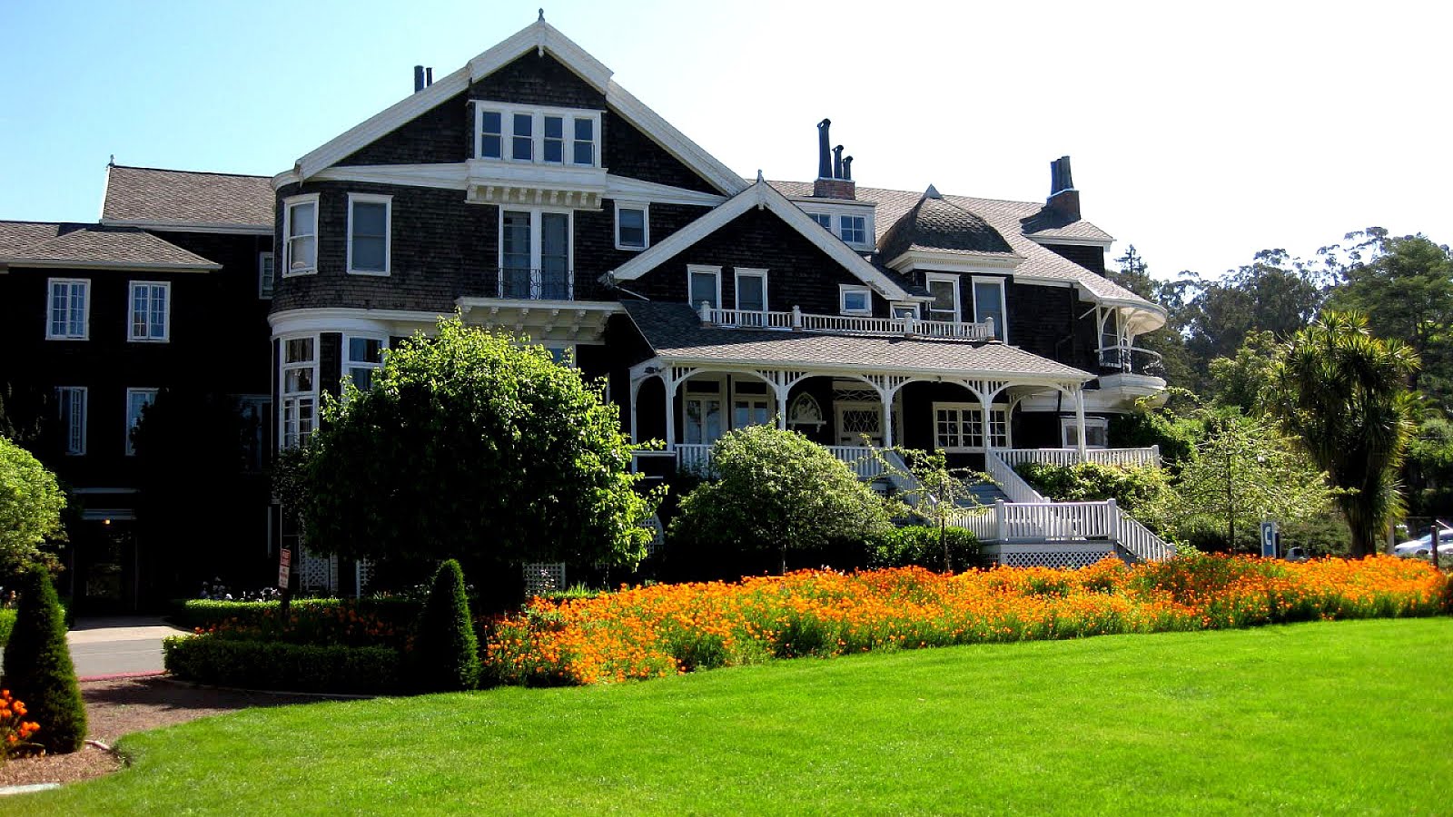 Dominican University of California University Choices