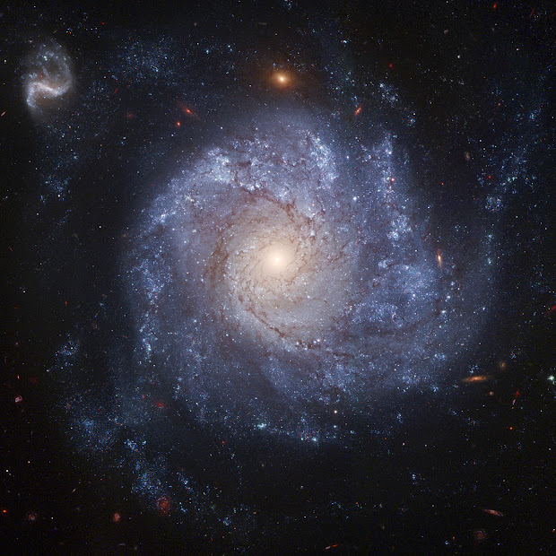 A brilliant portrait of face-on Spiral Galaxy NGC 1309 by Hubble