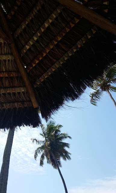 IBEROSTAR BAHIA | Resort em PRAIA DO FORTE 🌴