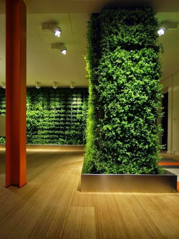 Dekorasi Taman Modern Didalam Ruangan | Desain Rumah | Griya Indonesia