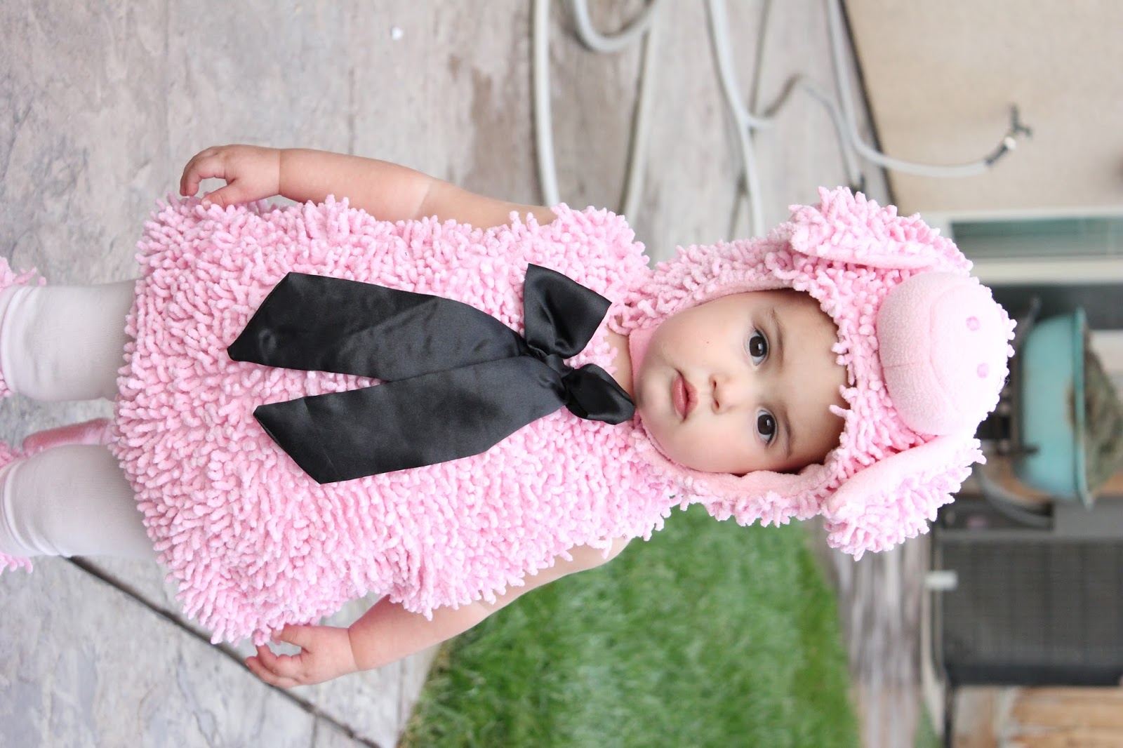 The Creighton Family Thanksgiving, Day 1