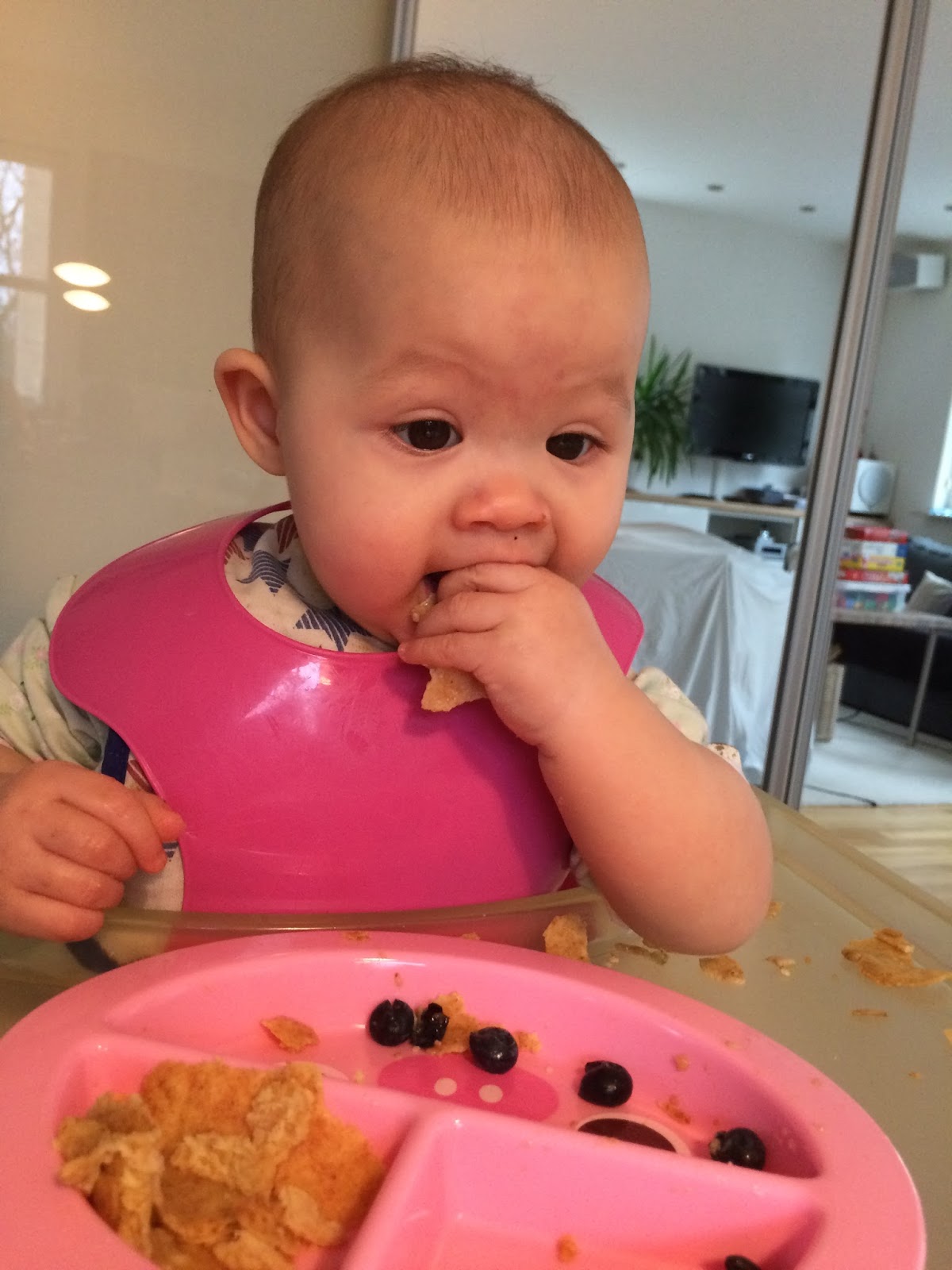 Family FECS Baby Food for the Day Millet Pancake for the First Time