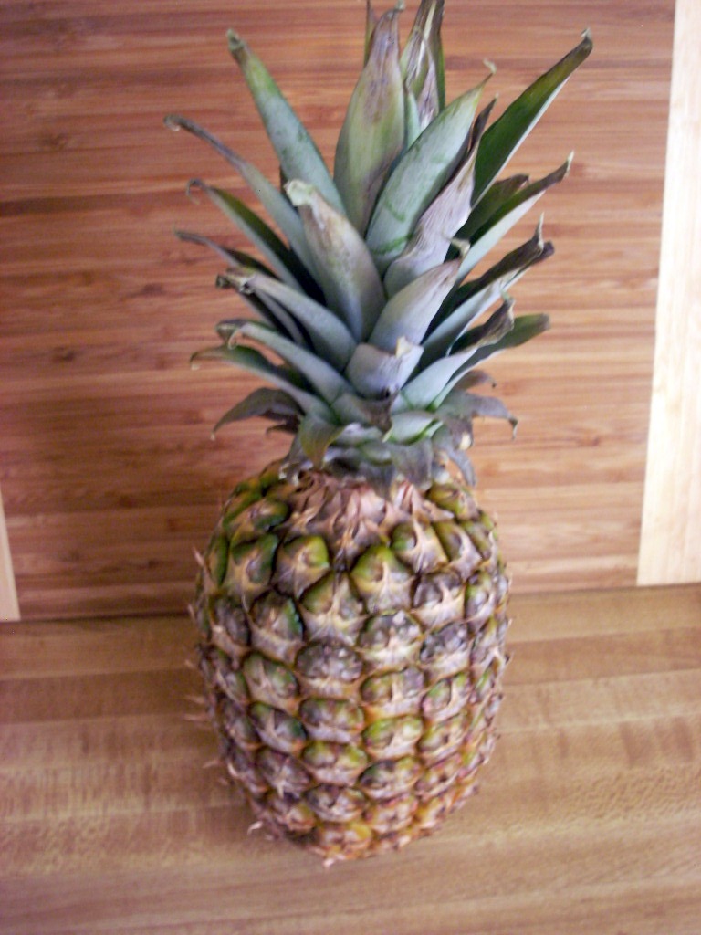 Food and Fancy Cooking Adventure Pineapple